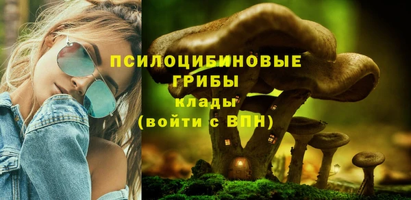 МДПВ Беломорск